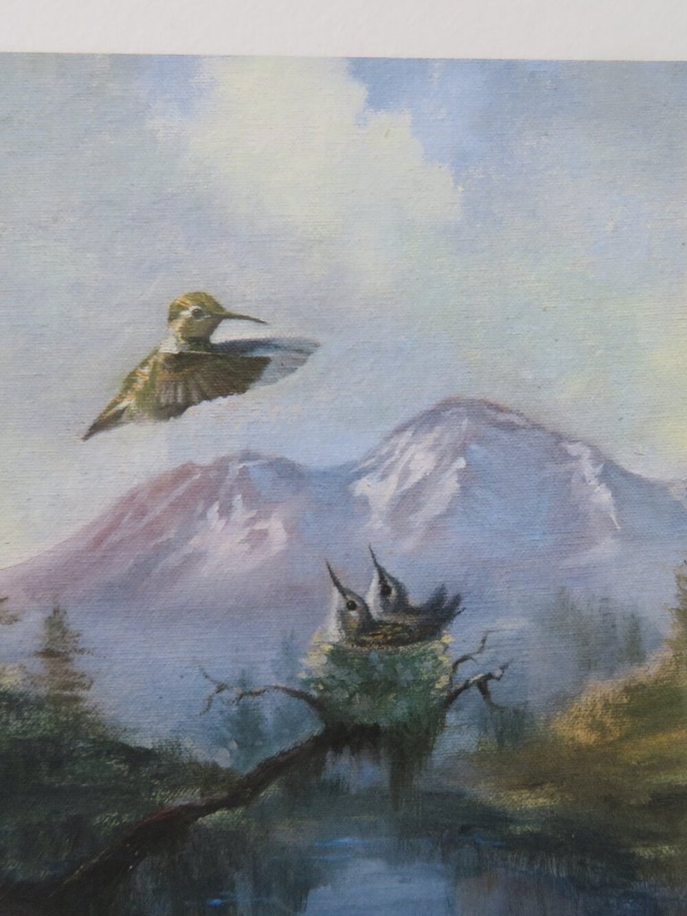 Hummingbird Print